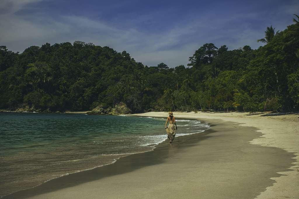 Jungle Vista Boutique Hotel Manuel Antonio Nature photo